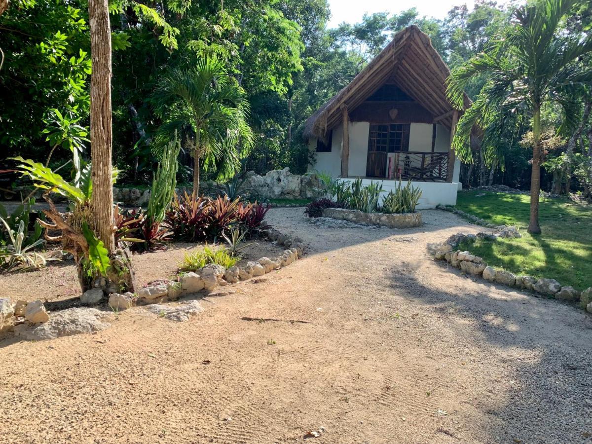Villa Morena Boutique Hotel Ecoliving 艾库玛尔 外观 照片