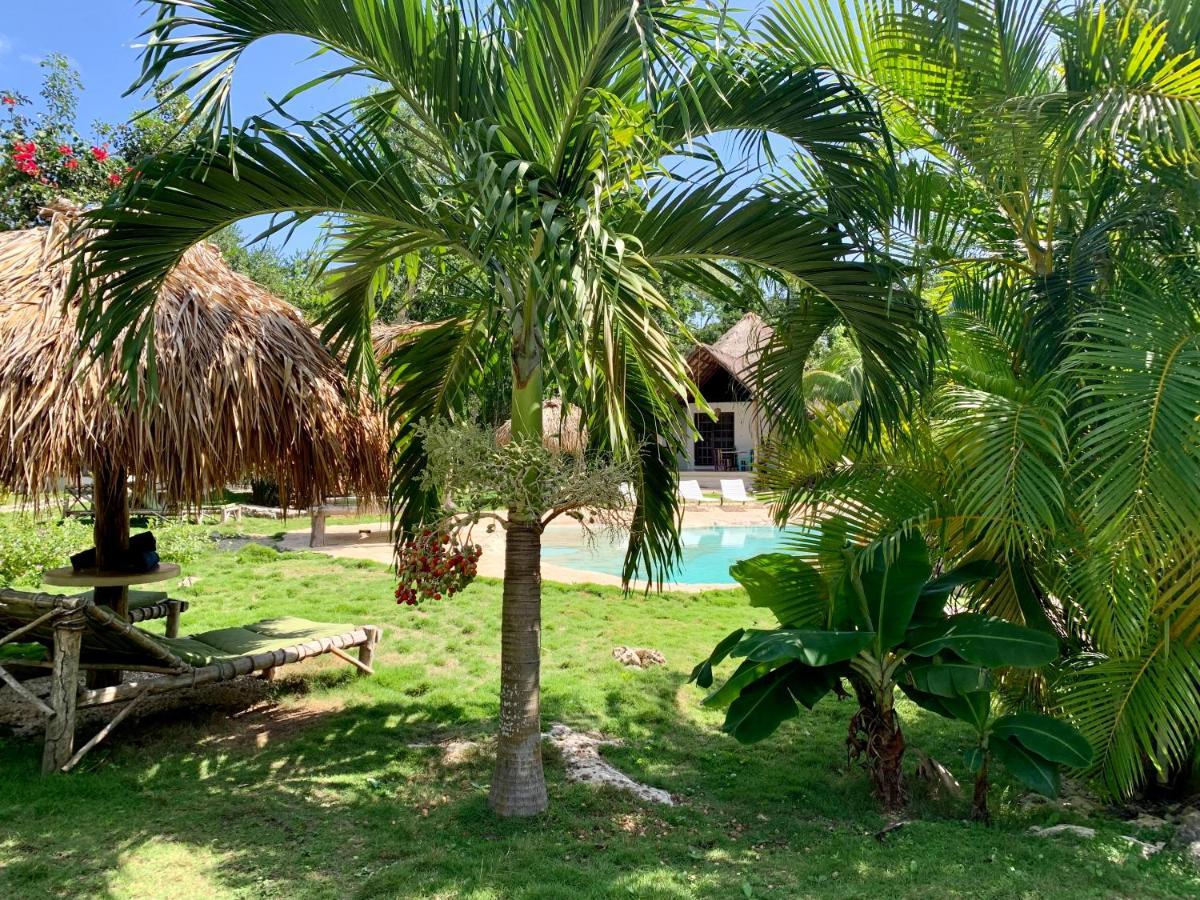 Villa Morena Boutique Hotel Ecoliving 艾库玛尔 外观 照片
