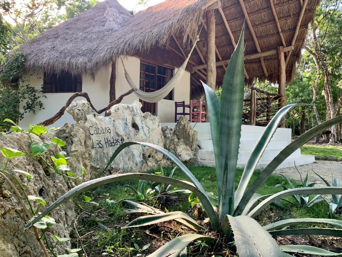 Villa Morena Boutique Hotel Ecoliving 艾库玛尔 外观 照片