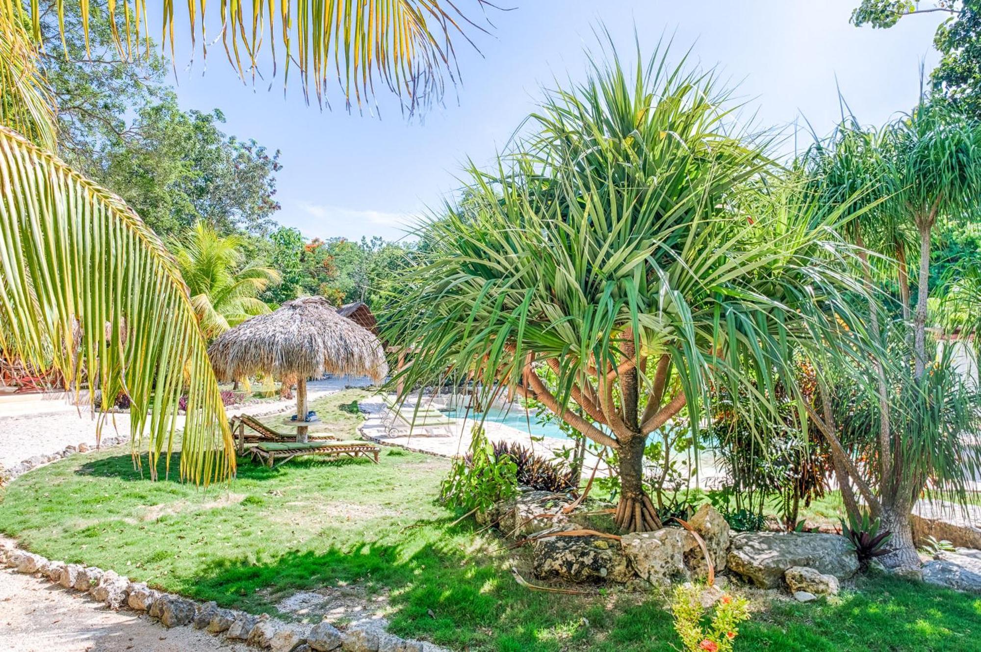 Villa Morena Boutique Hotel Ecoliving 艾库玛尔 外观 照片